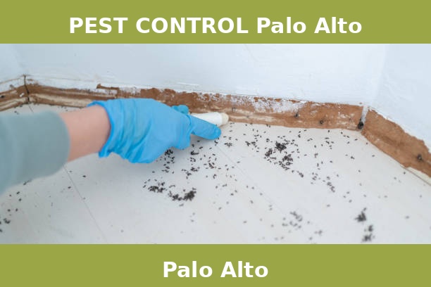 PEST CONTROL Palo Alto